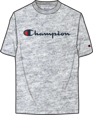 Champion Classic Graphic Short Sleeve T-Shirt