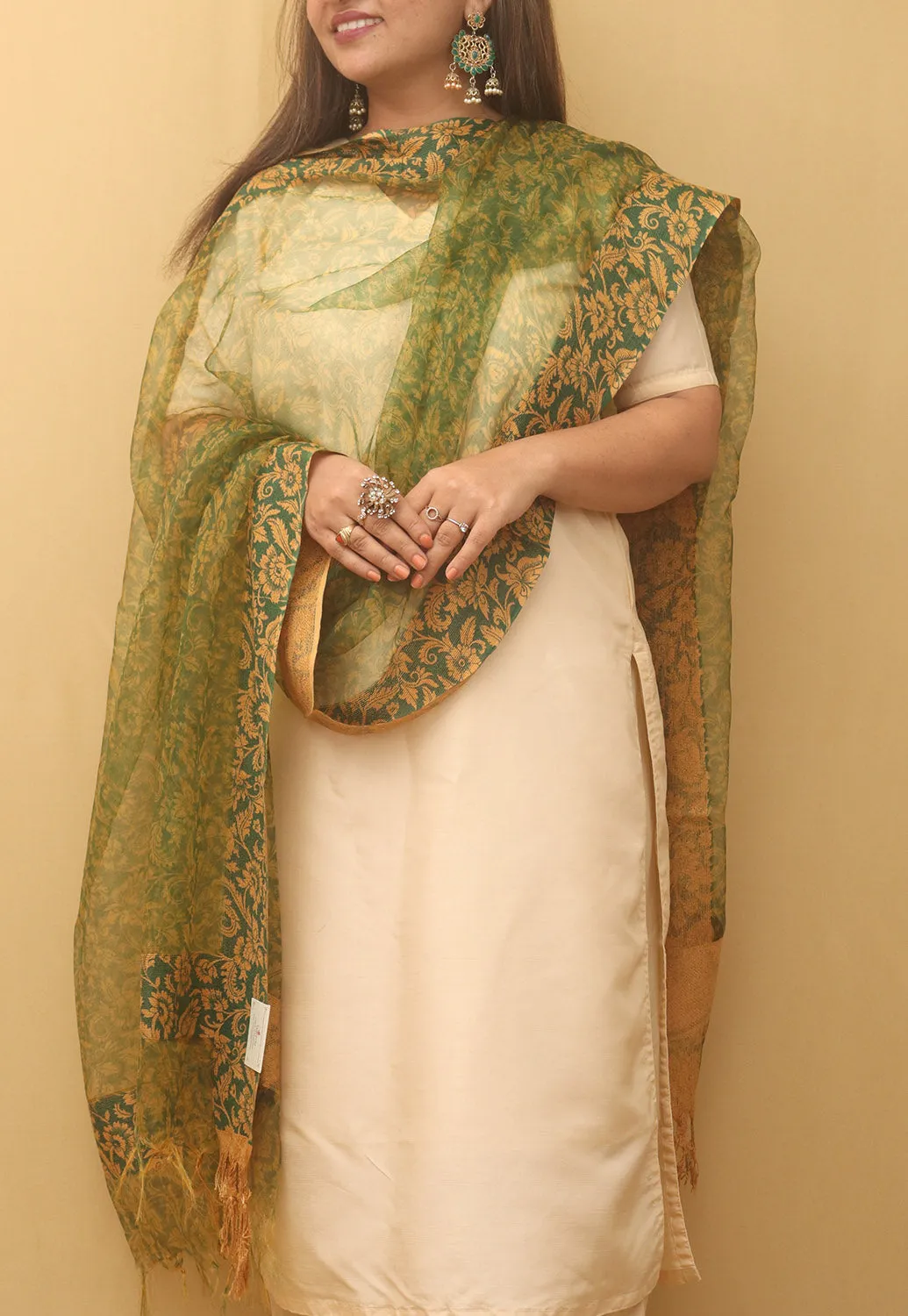 Green Block Printed Organza Handwoven Border Dupatta