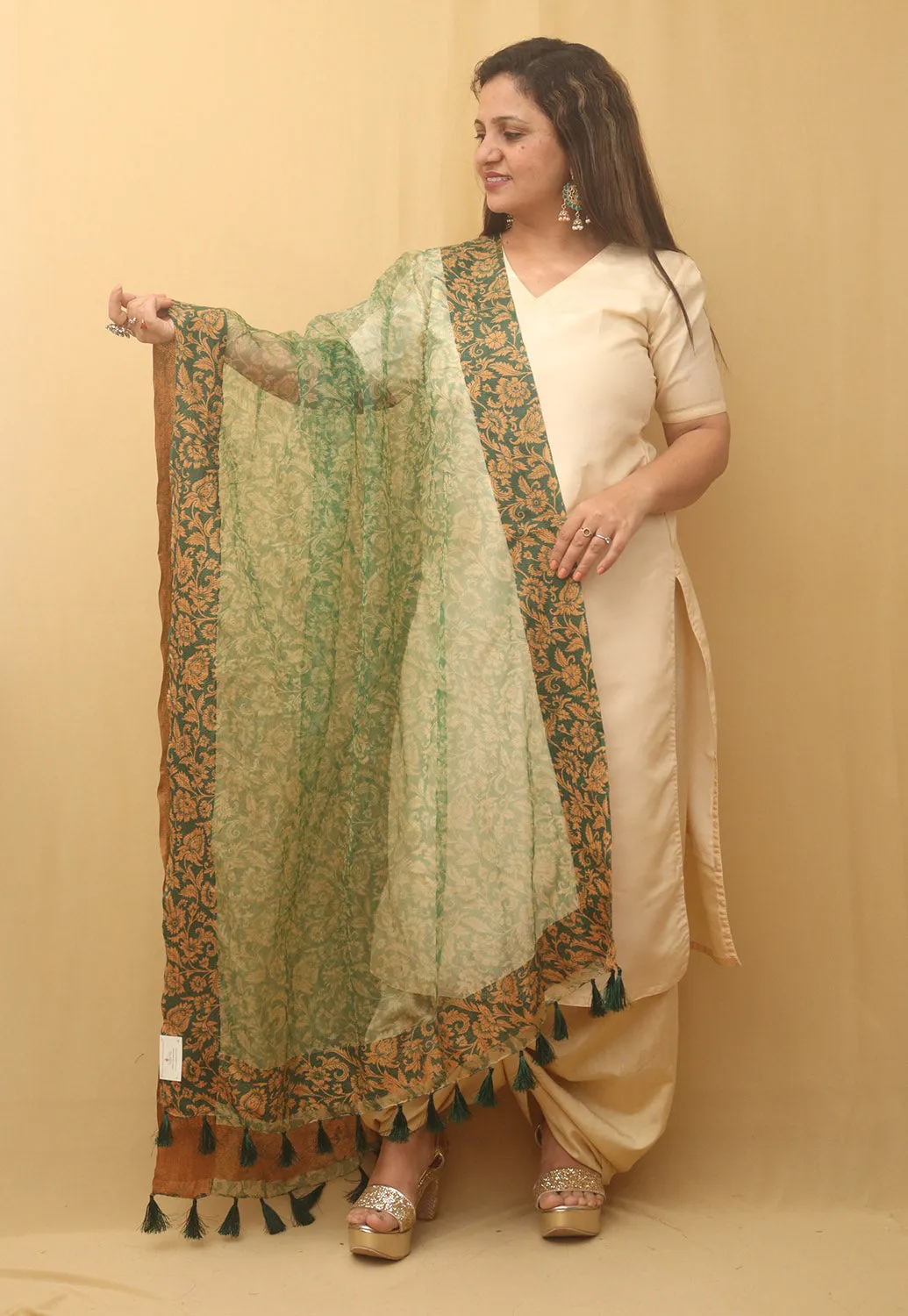 Green Block Printed Organza Handwoven Border Dupatta