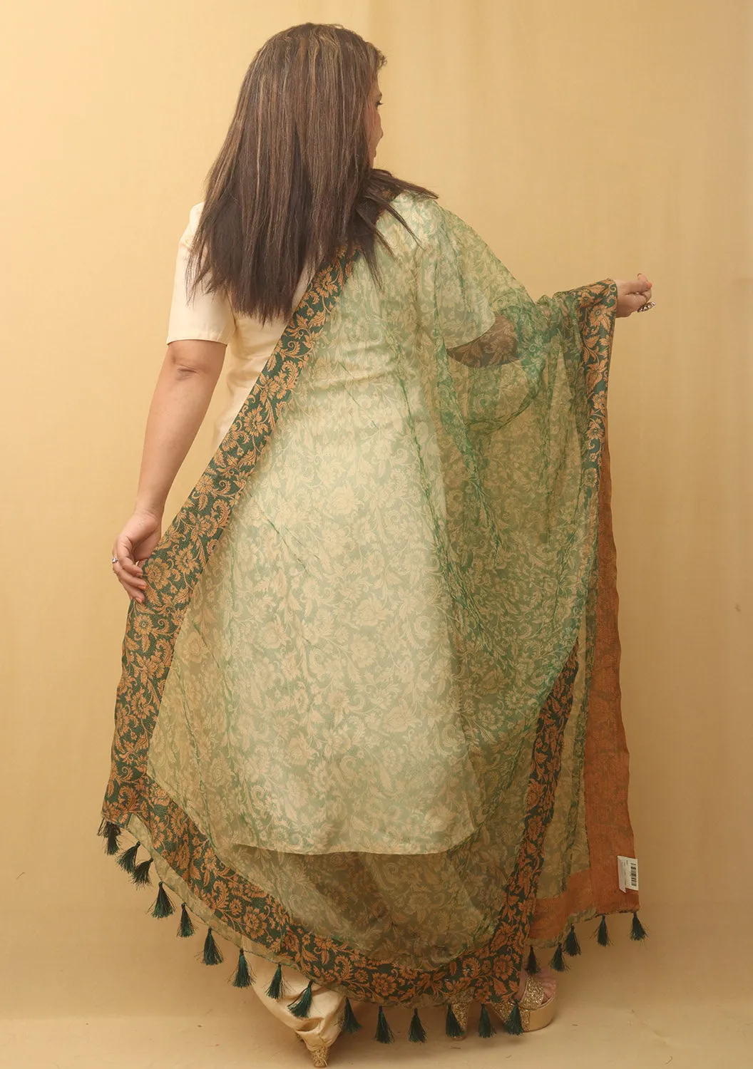 Green Block Printed Organza Handwoven Border Dupatta