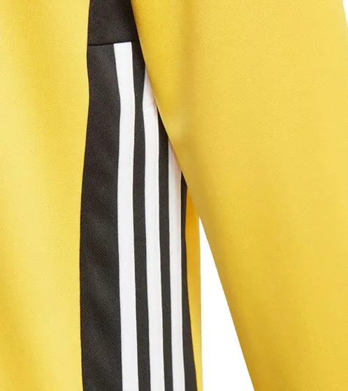 Pack of 2 adidas REGISTA 18 men s training shirt 1/4 zip with CLIMALITE technology CZ8648 yellow